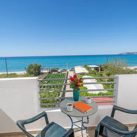 Aridas At The 劳德哈塔